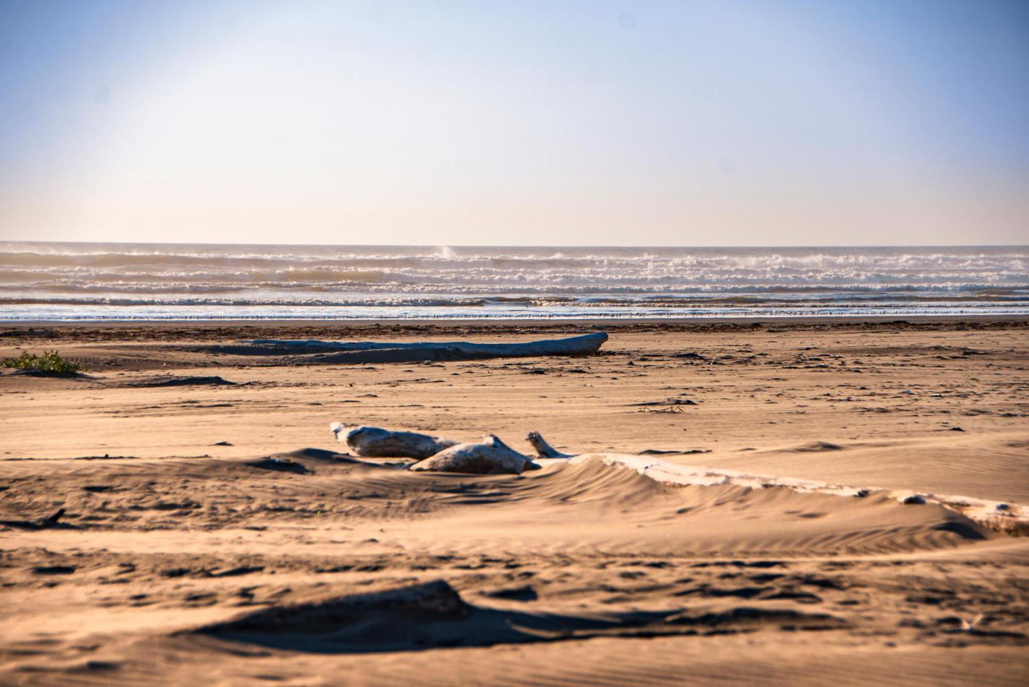 Surfcrest Resort Copalis Beach Zewnętrze zdjęcie